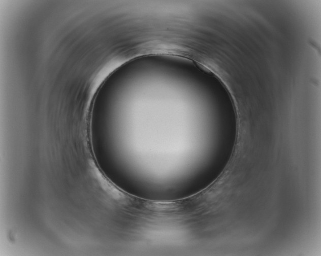 X0000099461152200805161040