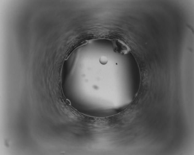 X0000099461153200805161040