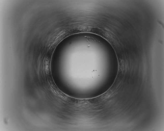 X0000099461154200805161040