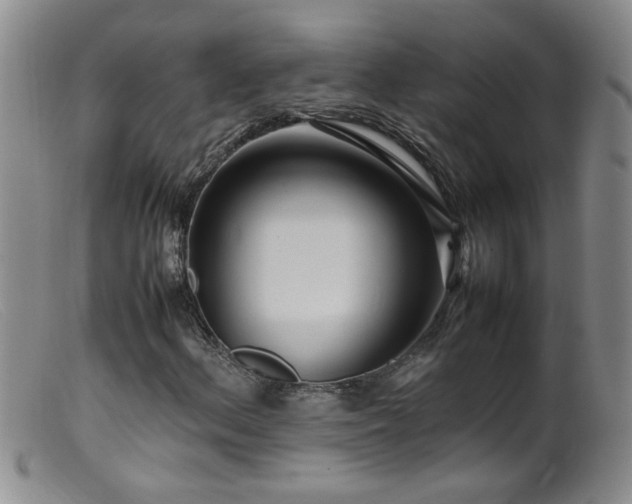 X0000099461156200805161040