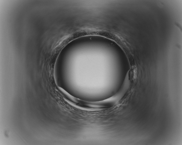 X0000099461157200805161040