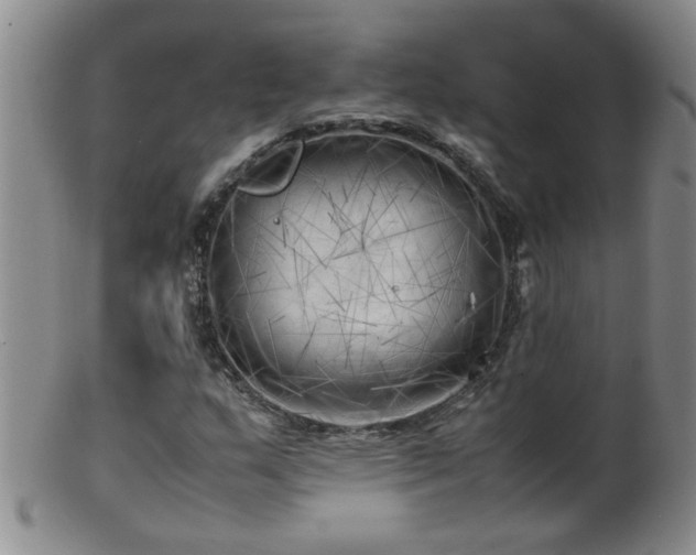 X0000099461159200805161040