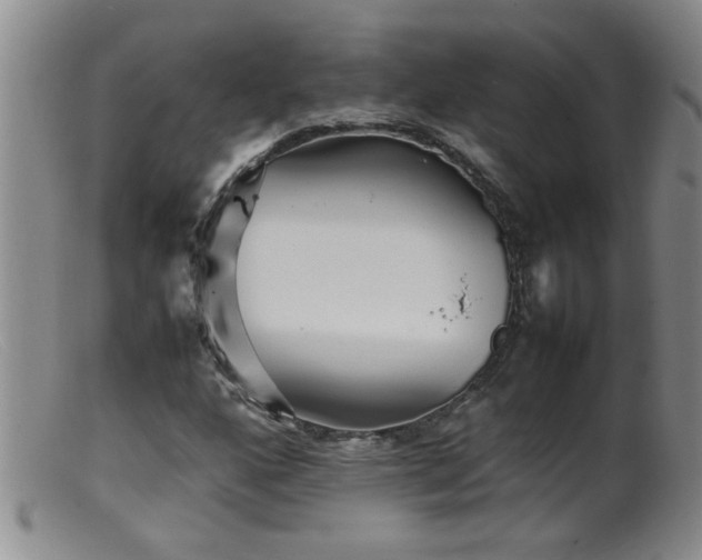 X0000099461160200805161040