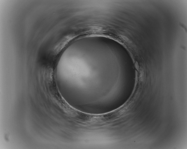 X0000099461161200805161040