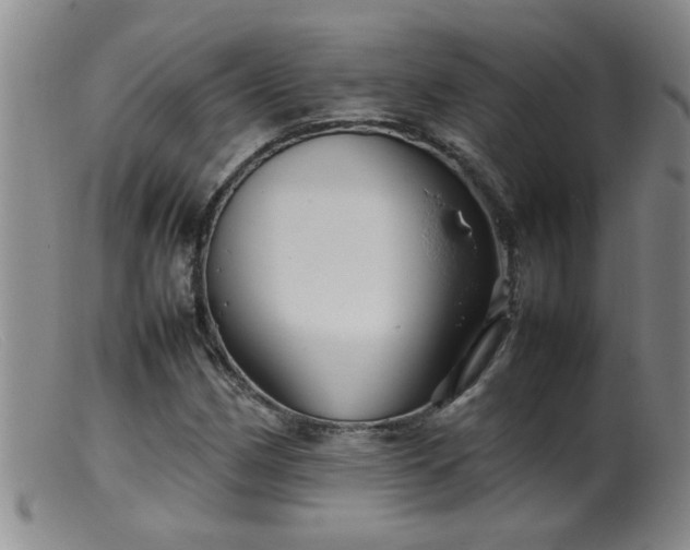 X0000099461162200805161040