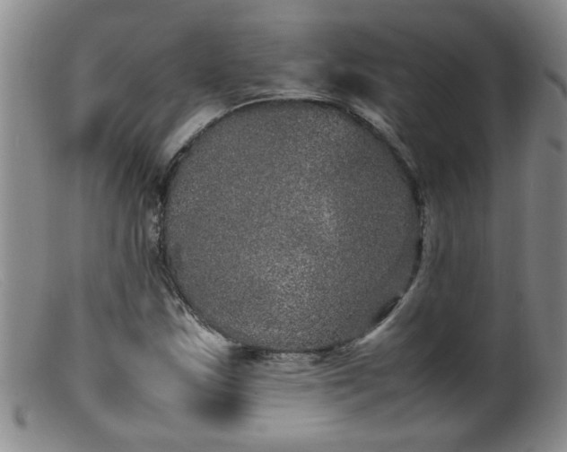 X0000099461163200805161040