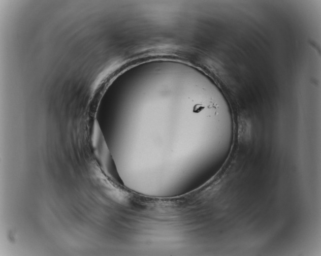 X0000099461164200805161040