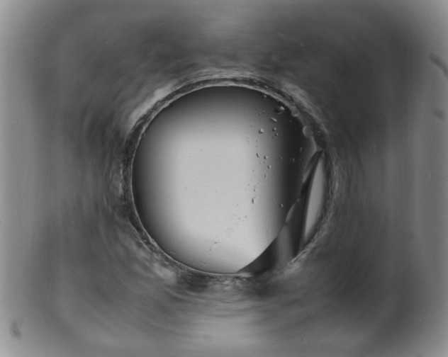 X0000099461165200805161040