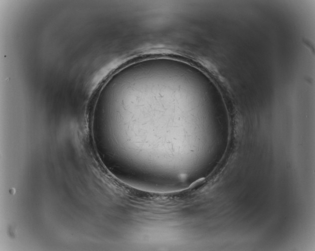 X0000099461167200805161040