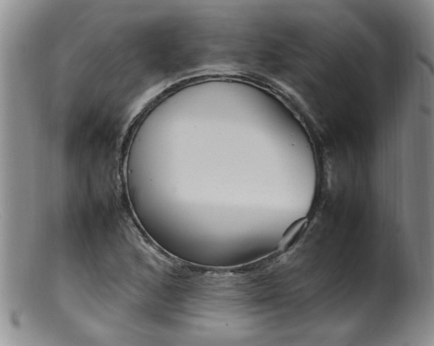 X0000099461168200805161040