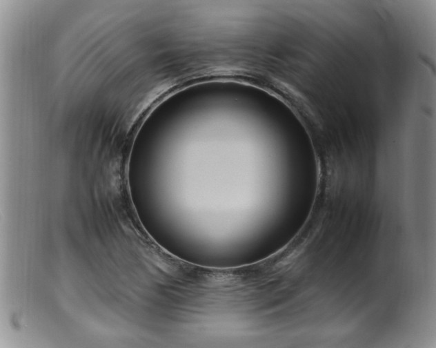 X0000099461170200805161040