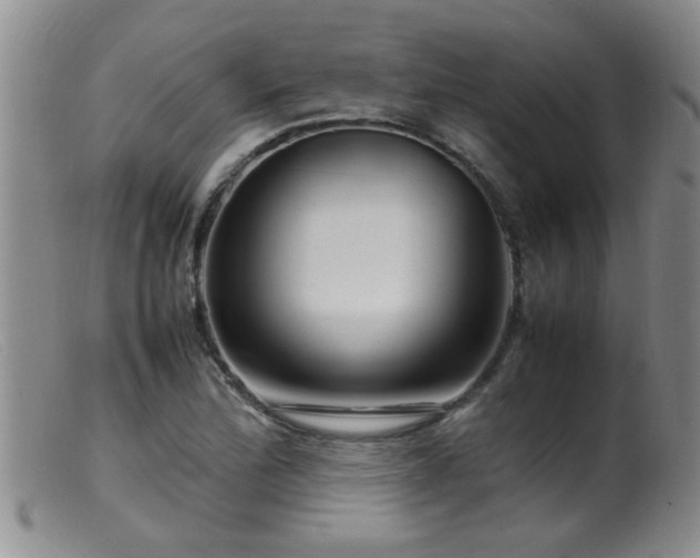 X0000099461172200805161039