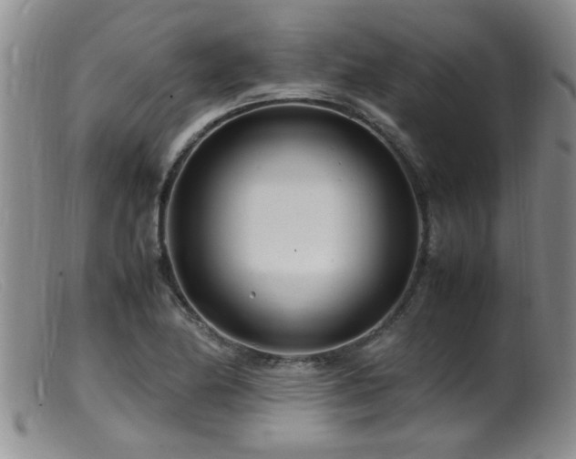 X0000099461174200805161039