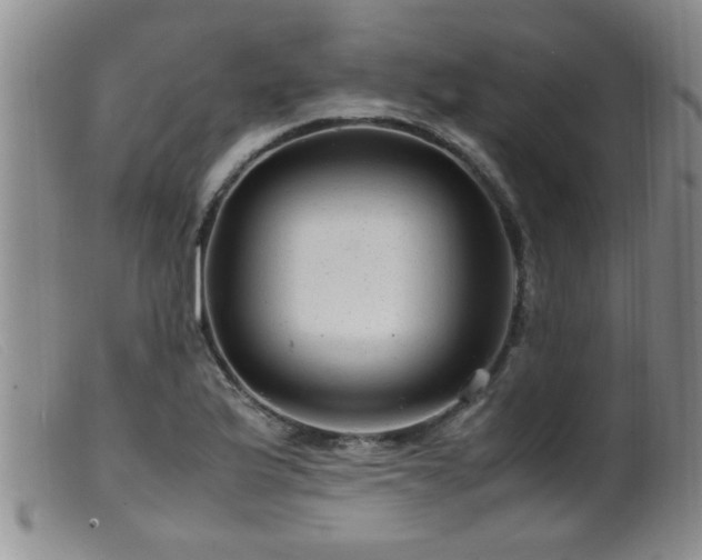 X0000099461175200805161039