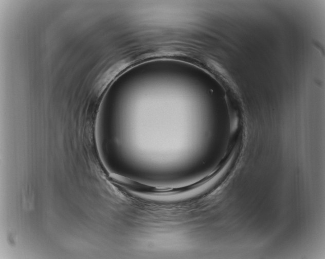 X0000099461177200805161039