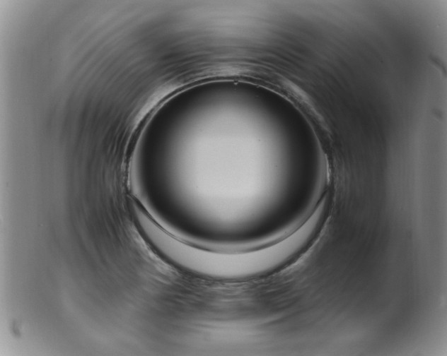 X0000099461178200805161039