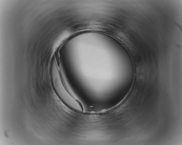 X0000099461180200805161039