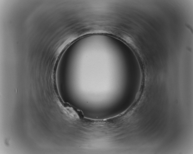 X0000099461181200805161039