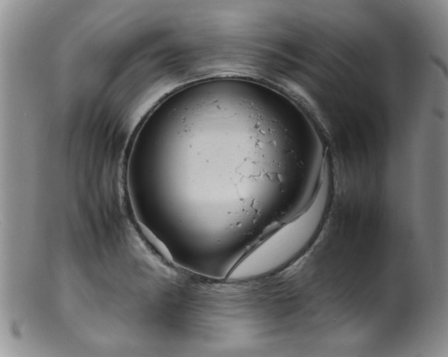 X0000099461182200805161039