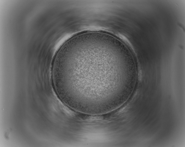 X0000099461183200805161039