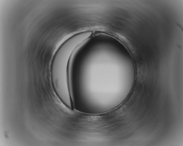 X0000099461184200805161039