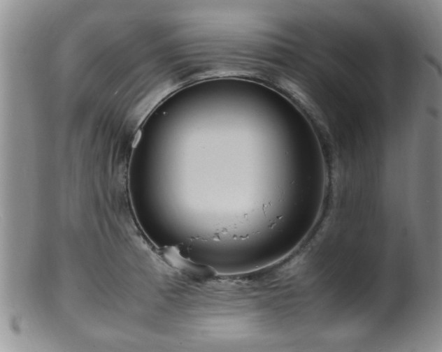 X0000099461185200805161039