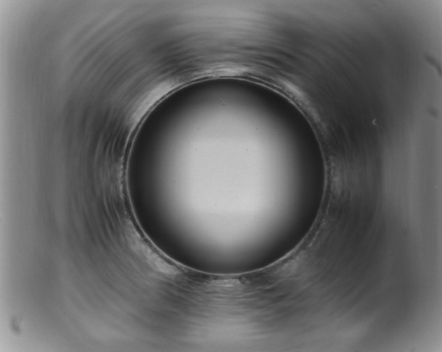 X0000099461186200805161039