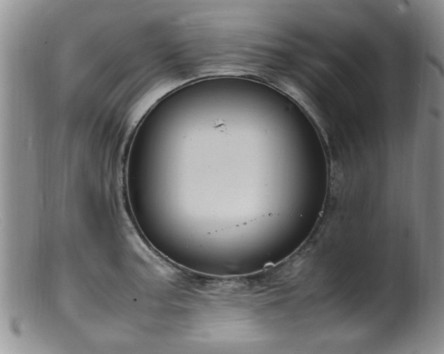 X0000099461187200805161039