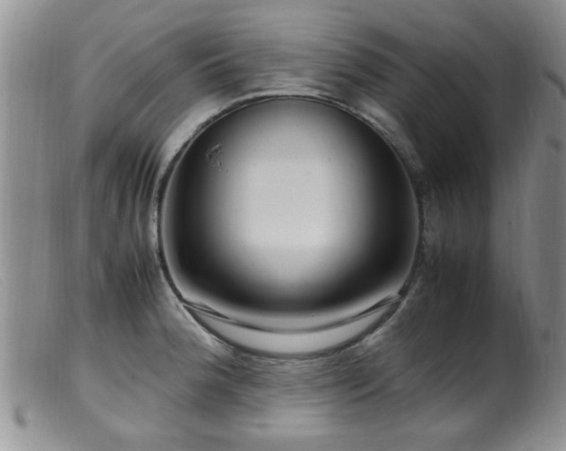 X0000099461188200805161039