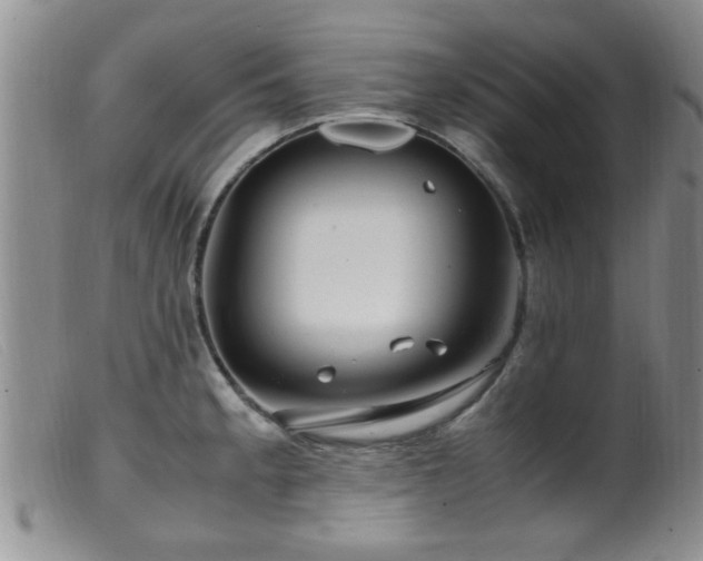 X0000099461189200805161039