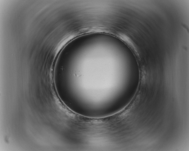 X0000099461190200805161039