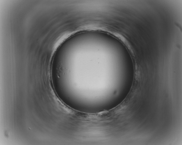 X0000099461191200805161039