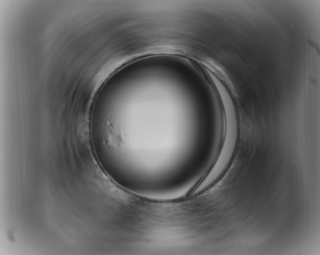 X0000099461192200805161039