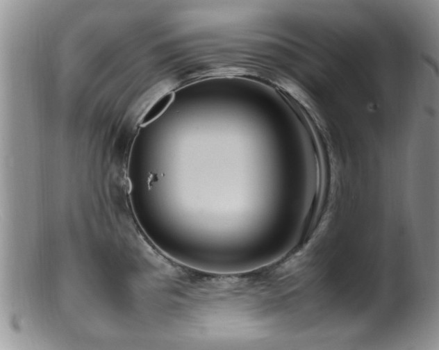 X0000099461193200805161039