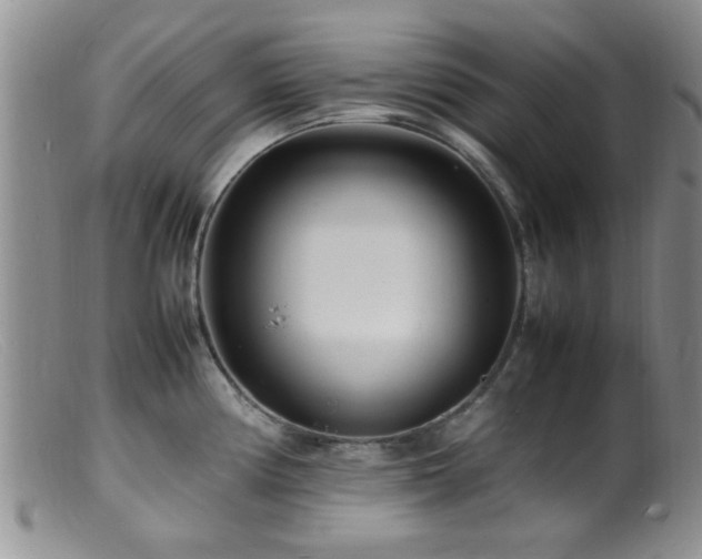 X0000099461194200805161039