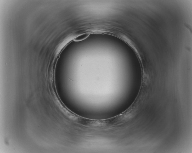 X0000099461195200805161039