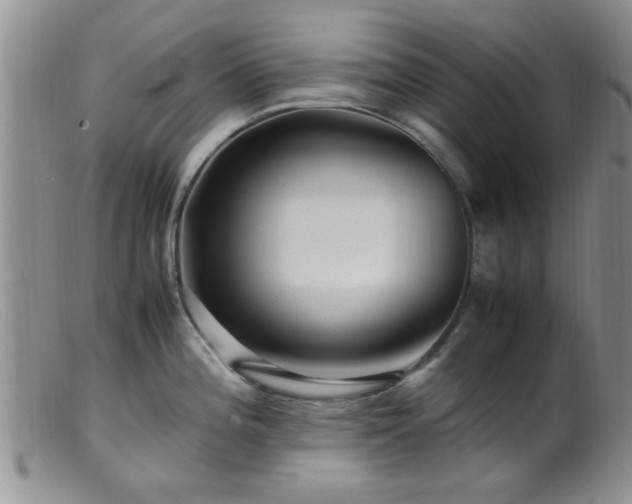 X0000099461196200805161039