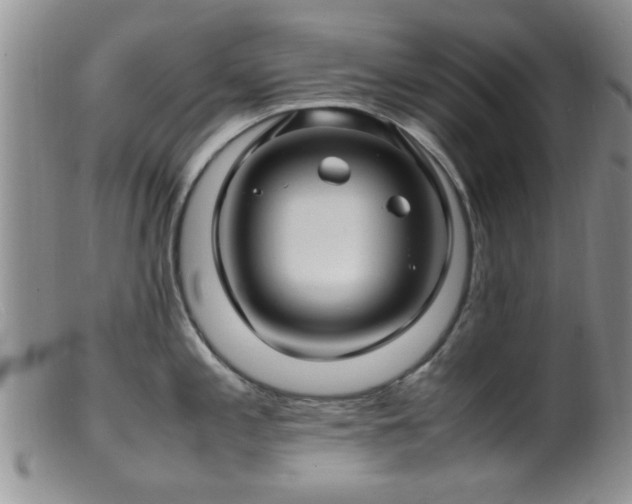 X0000099461197200805161039