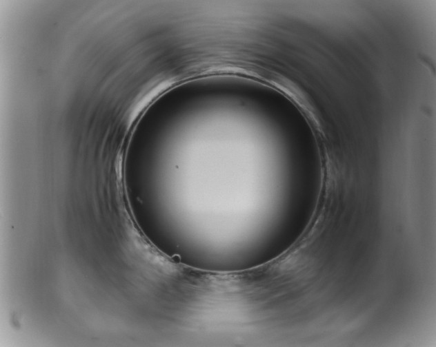 X0000099461198200805161039