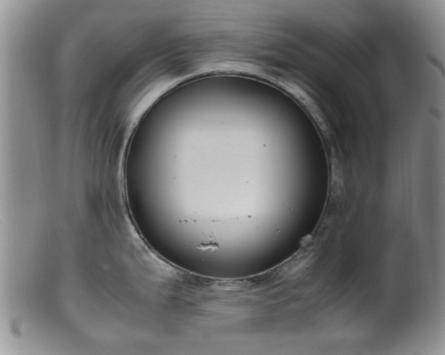 X0000099461199200805161039