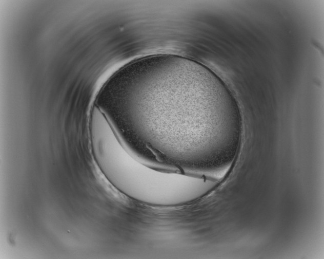 X0000099461200200805161039