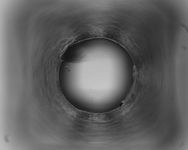 X0000099461201200805161038