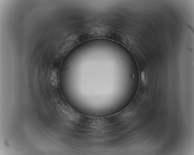 X0000099461203200805161038