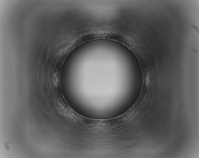 X0000099461204200805161038