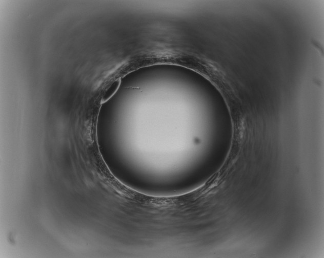 X0000099461205200805161038