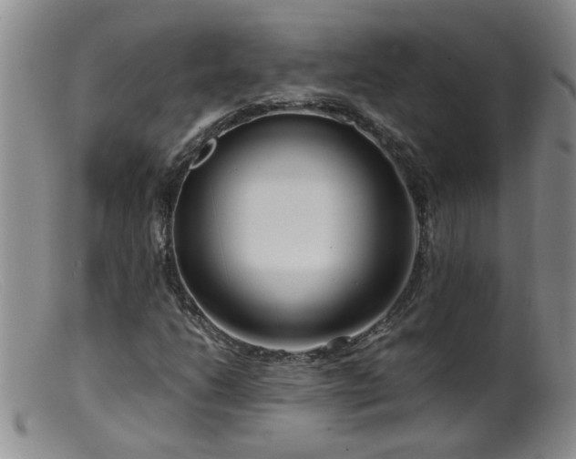 X0000099461206200805161038