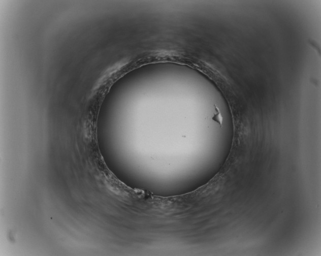 X0000099461207200805161039