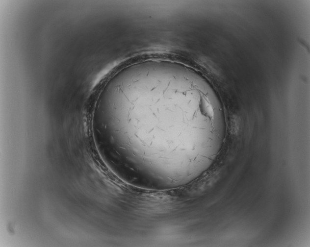 X0000099461208200805161039