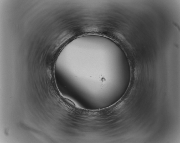 X0000099461209200805161039