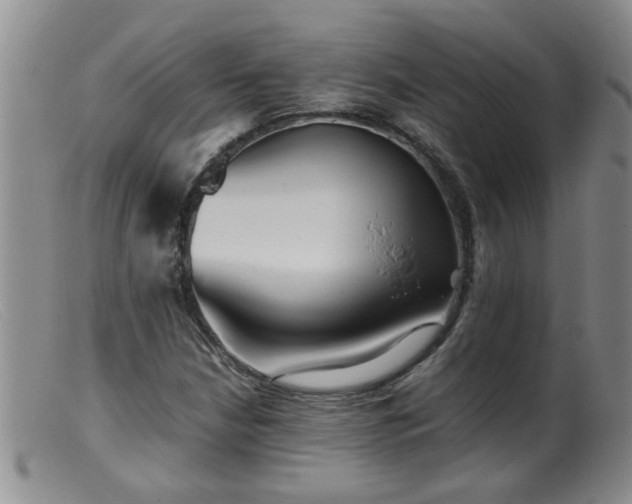 X0000099461210200805161039